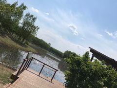-东郊湿地公园