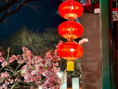 -白家大院·王府宫廷菜(苏州街店)
