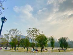 -重庆彩云湖湿地公园