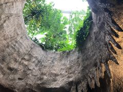 -南山植物园