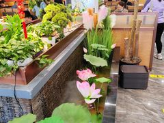 -洞庭家宴·头牌甲鱼(广渠门店)