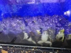-鱼乐圈·烤鱼王·烧烤(博乐店)