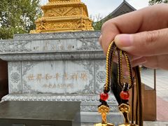 -西安大兴善寺