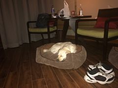 -上海崇明金茂凯悦酒店