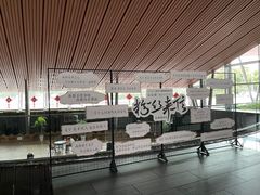 -合肥大剧院