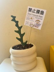-乐室LE SPACE·美学疗愈空间