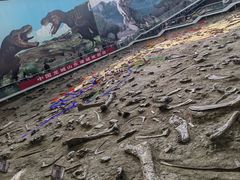 -诸城市恐龙博物馆