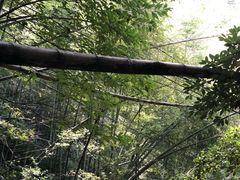 -会稽山峡洞漂流-上青古道