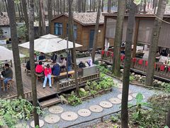 -林间山庄