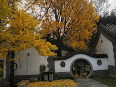 -北京鹫峰国家森林公园