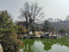 -中国唐苑