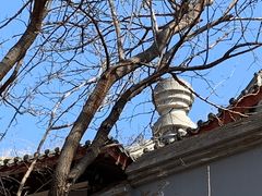 -北京西山国家森林公园