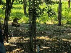 -秦皇岛野生动物园