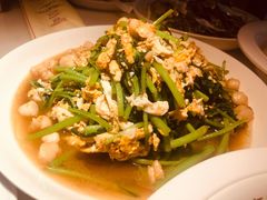 茼蒿炒海蛎子-日丰园海肠水饺·老字号大连海鲜(和平广场店)