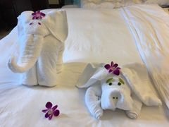 -三亚亚龙湾雅高铂尔曼别墅度假酒店