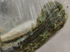 -月亮饼香烟店(翠竹新村店)