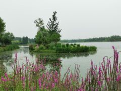 -东郊湿地公园