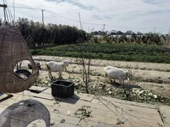 -小鱼草莓采摘园农家乐·小鱼餐厅
