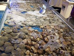 -万象·复兴号鲜肉烤肉海鲜自助(升级店)