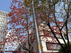 -荔湾区儿童公园