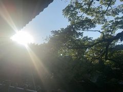 -普陀山风景名胜区-法雨禅寺