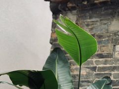 -漫笙舍Manse·咖啡·民宿