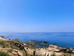 -养马岛旅游度假区