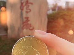 -南京理工大学紫金学院