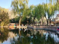 -丰台花园