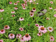 -汉长安城未央宫国家考古遗址公园