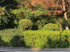 -仙岳公园