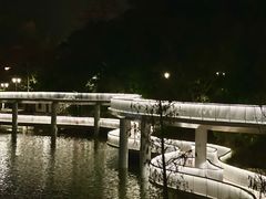 -银湖山郊野公园-相思林