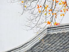 -老门东历史文化街区