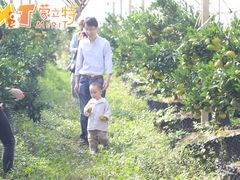 -前小桔亲子创意农场·草莓采摘·露营烧烤