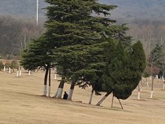 -钟山体育运动公园