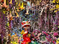 -正佳雨林生态植物园