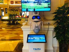 -重庆长寿碧桂园凤悦凤凰酒店