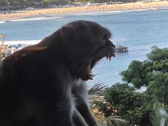 -三亚绿发山海天JW万豪酒店