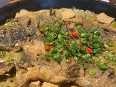 -老板恋上鱼(恒隆广场店)