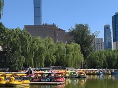-团结湖公园