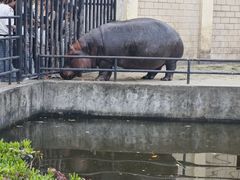 -合肥野生动物园