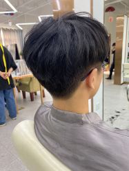 -蚂蚁造型沙龙
