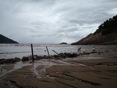 -北岐滩涂