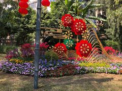-晓港公园