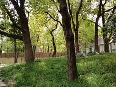 -徐家汇源景区-衡山公园