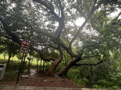 -虞山风景区