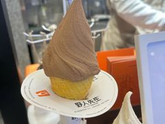 -野人先生Gelato(上海长宁龙之梦店)