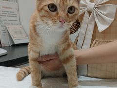 -派特宠物医院(圆融广场店)