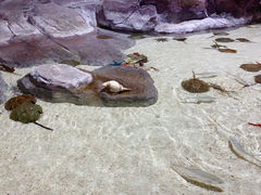 -福州罗源湾海洋世界旅游区