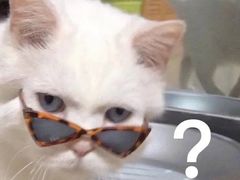 -喜鹊烤肉酒场(美乐城店)